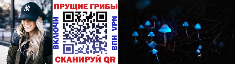 Псилоцибиновые грибы мицелий  закладка  Кирсанов 